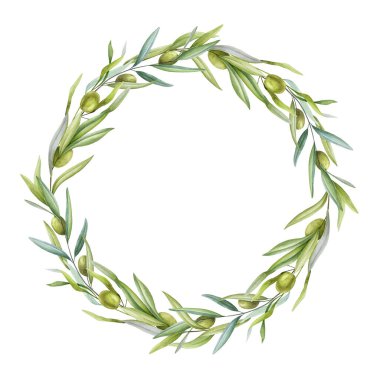 Zeytin dalı uzatır ve suluboya çelenk bırakır. Organik Akdeniz tesisi dekor kapanıyor. Botanik çiçeği gerçekçi zeytin yaprağı ve meyve dekoratif yuvarlak. Elle çizilmiş zarif doğal asma çelengi.