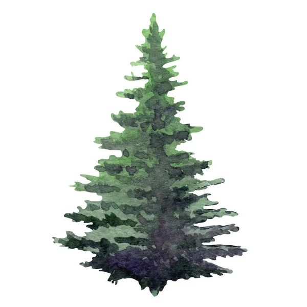 Fir tree watercolor image. Hand drawn relistic lush pine illustration Green forest plant element. Christmas tree object on white background. Evergreen natural spruce single tree — Stock Photo, Image