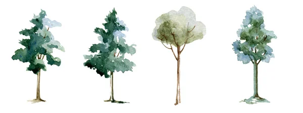 Grüner Baum Aquarell Illustrationsset. Ahorn, Linde, Birke. Handgezeichnete Blätter und immergrüne Baumelemente. Grüner Wald und Garten Einzelbilder auf weißem Hintergrund — Stockfoto