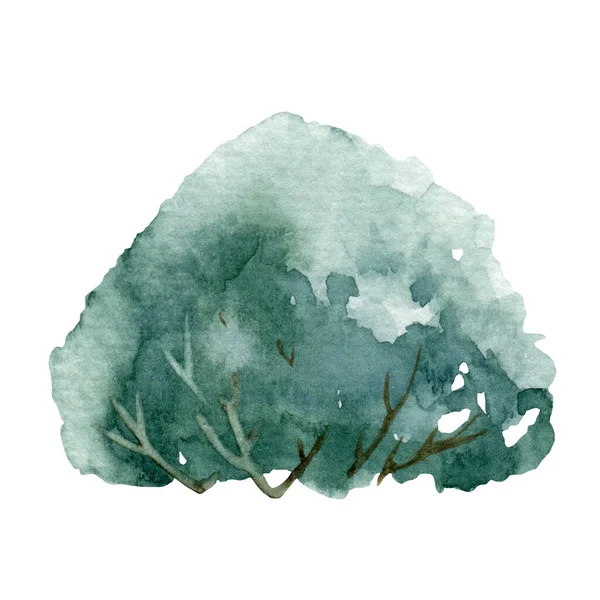 Grüner Busch Aquarell Illustration. Natürliche Wald-, Holz- oder Gartenpflanze. Handgezeichnetes Blatt und immergrünes Baumelement. Grüner Wald und Garten Busch Einzelbild auf weißem Hintergrund — Stockfoto