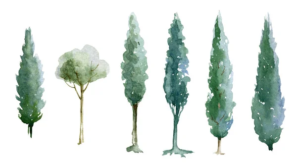 Yeşil ağaç suluboya çizim seti. Doğal selvi ağaçları. El yapımı yapraklı ve yemyeşil ağaç element koleksiyonu. Yeşil orman ve bahçe beyaz arkaplanda tek görüntü — Stok fotoğraf