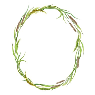 Çiçekli gerçekçi çelenk. Suluboya el çizimi çizimi. Çayır çiçeklerinden botanik çelenk. Çimen çivisi yuvarlak dekorasyon. Beyaz arkaplanda bahar doğal dekoru