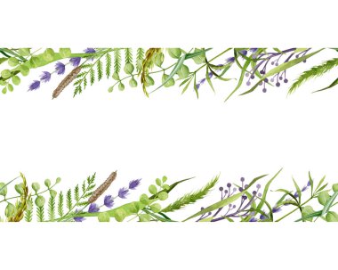 Çiçeksiz sınır. Lavanta ve çayır otları suluboya çerçeve çizimi. Zarif bir süs içinde doğal organik otlar. El çizimi çimenler lavanta çiçekleri ile dikişsiz sınır