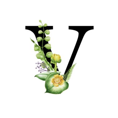 Çiçekli bahar alfabesi. Büyük harf V. Bahar Bahçesi çiçek buketleri kompozisyonu ile font element. Çiçek mektubu. Düğün davetiyeleri, bebek partisi, doğum günü, diğer fikirler. Beyaz arkaplanda
