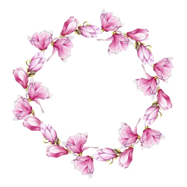 Magnolia pembe çiçek çelengi. Suluboya çizimi. Yumuşak manolya çiçekleri çerçevesi. Yuvarlak çiçek süslemesi. Bahar çiçeklerinin zarif çelenkleri. Beyaz arkaplanda — Stok fotoğraf