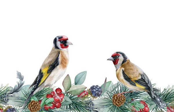 Χειμώνας λουλούδια απρόσκοπτη σύνορα. Δύο πουλιά καρδερίνα σε ατελείωτη διακόσμηση λουλουδιών. Εποχιακά απρόσκοπτα σύνορα και άγρια πουλιά του δάσους. Ρουστίκ διακόσμηση με κόκκινα μούρα, κλαδιά πεύκου και βατόμουρα — Φωτογραφία Αρχείου