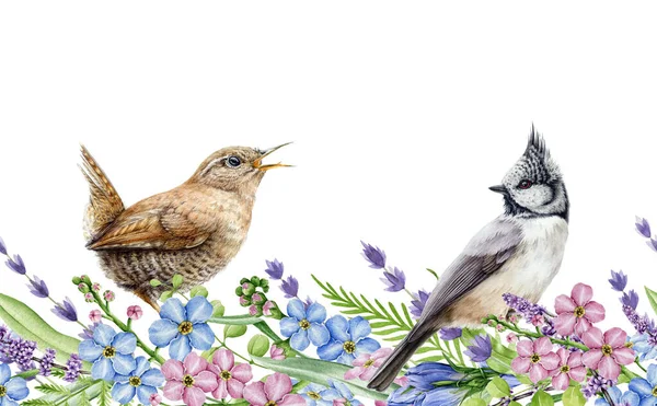Άνοιξη λουλούδι απρόσκοπτη σύνορα. Εικονογράφηση υδατογραφίας. Φυσικά ρεαλιστικά ανοιξιάτικα λουλούδια και μικρά πουλιά σε κομψό στολίδι. Χειροποίητα τρυφερά άνθη και άγρια πτηνά στον κήπο σε απρόσκοπτα σύνορα — Φωτογραφία Αρχείου