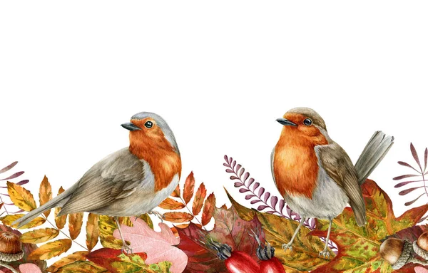 Φθινοπωρινά φύλλα και πουλιά Robin απρόσκοπτη σύνορα. Εικονογράφηση υδατογραφίας. Κόκκινα, πορτοκαλί πεσμένα φύλλα, ατελείωτο στολίδι. Πουλιά κοκκινολαίμηδες. Φωτεινά στοιχεία φυλλώματος πτώση απρόσκοπτη σύνορα. Λευκό φόντο — Φωτογραφία Αρχείου