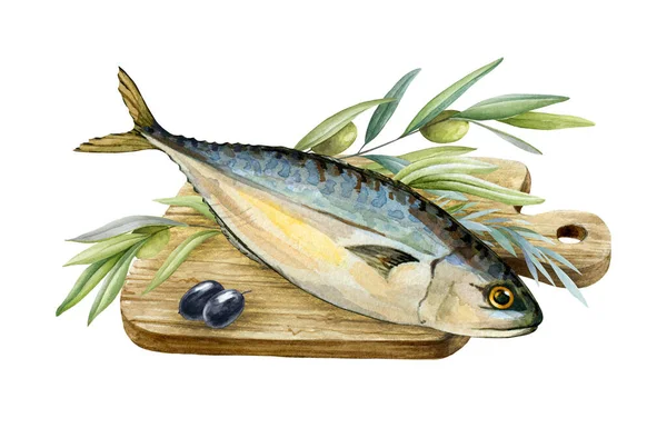 Peixe marinho com ervas e azeitonas. Ilustração aquarela. Imagem de comida saborosa mediterrânea. Elemento alimentar realista. Peixe e ervas de cavala orgânica saudável na tábua de corte de madeira. No fundo branco — Fotografia de Stock