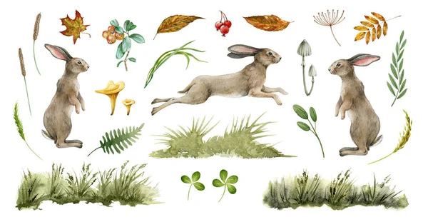 Natuurlijke verzameling konijnen. Aquarelillustratie. Leuke konijnenstandaard en spring op een witte achtergrond. Konijn, gras, blad, paddenstoel collectie. Natuurlijke met de hand getrokken element set. pluizig konijntje zijaanzicht — Stockfoto