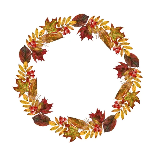 Floral autumn wreath. Watercolor image. Hand drawn rustic lush round frame. Seasonal autumn frame. Countryside wreath from golden and red tree leaves. Bright fall frame. Natural festive round decor — Stock Photo, Image