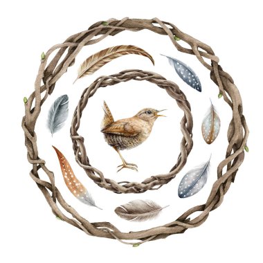 Sarmaşık kırsalı çelengi, çalıkuşu, tüy seti. Suluboya çizimi. Dal kıvrılmış çiçek dekoru. Boho tarzı vintage çelenk. Doğal kuru dal çemberi, kırlangıç kuşu, tüy elementi. Beyaz arkaplanda