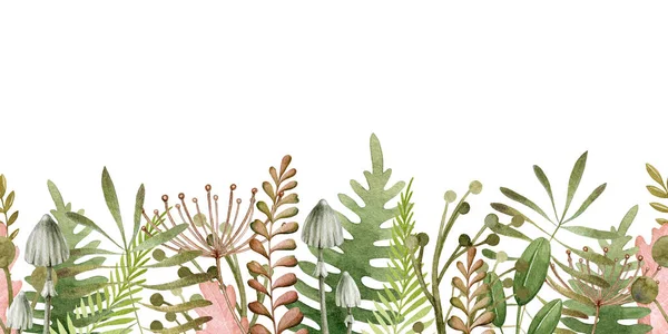 緑のシダと森のハーブシームレスな境界線。水彩イラスト。エレガントな装飾で天然有機ハーブ。有機植物の境界線を描いた手。エレガントなシームレスな装飾。白地に隔離された — ストック写真