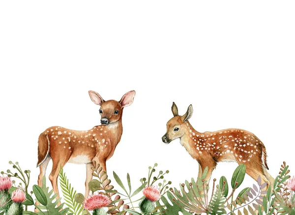 Deer animal in wild forest herbs seamless border. Watercolor illustration. Wildlife seamless decor element. Woodland couple bambi deer, thistle flowers and green fern decoration. On white background — Stock Photo, Image