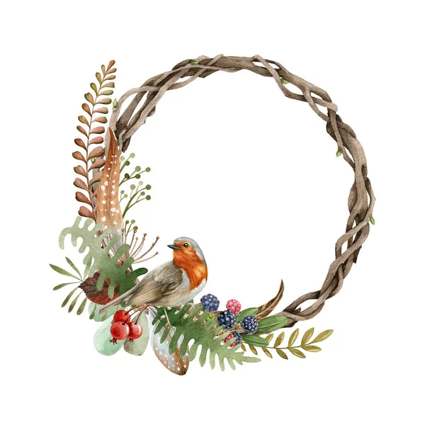 Höstens festliga krans med rödbrun fågel. Akvarell illustration. Vacker rund säsong dekorativ ram med robin fågel, naturlig ormbunke, skog örter, bär, höstlöv. På vit bakgrund — Stockfoto