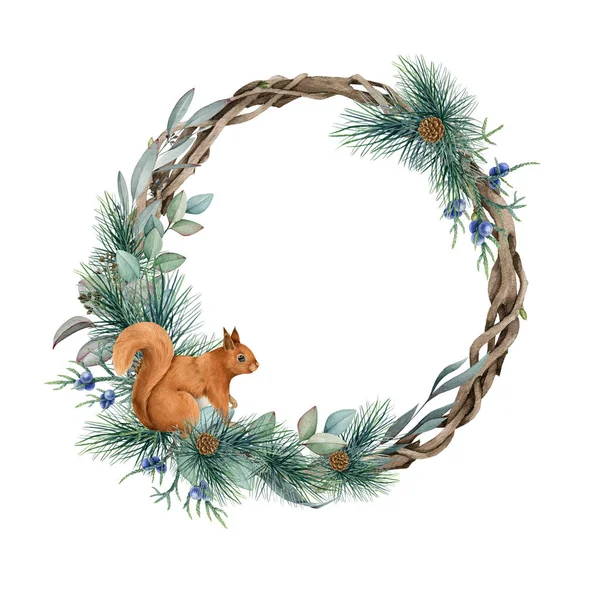 Winter floral wreath. Watercolor illustration. Hand drawn festive floral decor with red squirrel, eucalyptus, pine, juniper, cones. Christmas seasonal decor. Natural rustic wreath on white background — Stock Photo, Image