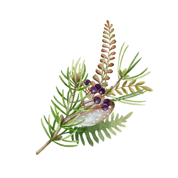 Floral natural rustic arrangement. Watercolor illustration. Woodland element. Hand drawn rustic forest decor from pine, fern, elder berries, green leaves. Seasonal decoration on white background — Foto de Stock