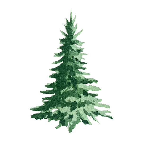 Fir tree watercolor image. Hand drawn realistic lush pine illustration. Green forest plant element. Christmas tree object on white background. Evergreen natural spruce tree. Single fir tree — Stock Photo, Image