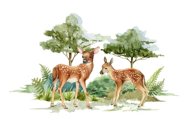 Orman manzarasında bir geyik. Suluboya çizimi. Geyik çifti orman sahnesinde duruyor. Rustik baskı resmi. Vahşi orman otları, çalılar, yeşil ağaçlar içinde bambi. İki orman hayvanı yan görünüm