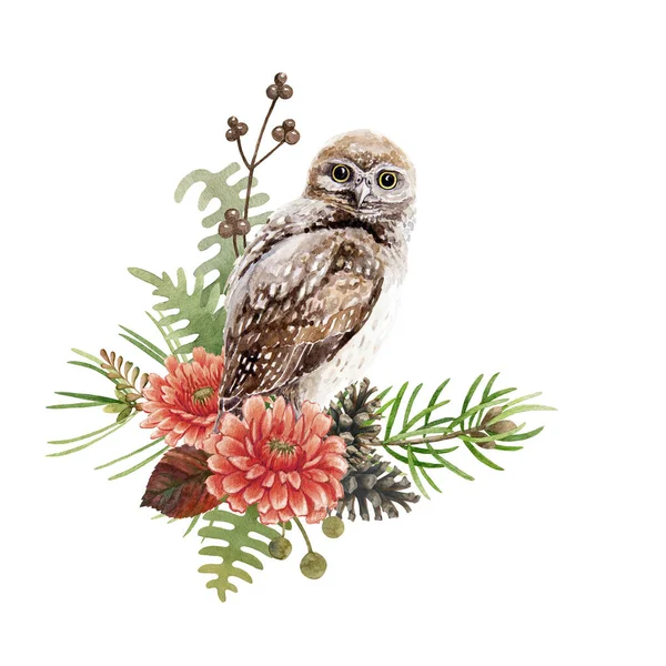 Owl bird floral watercolor illustration. Hand drawn wild nature bird element decor. Brown owl rustic decoration. Wild forest bird with autumn flowers, pine branch, cone, berries on white background — 스톡 사진