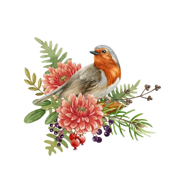 Robin bird with flowers. Watercolor illustration. Rustic natural autumn element. Hand drawn forest fall decor. Robin bird, flowers, leaves, fern, berries floral decoration. On white background