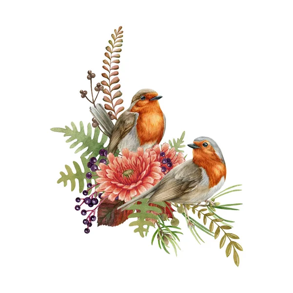 Robin birds flower arrangement. Watercolor illustration. Rustic natural autumn element. Hand drawn forest fall decor. Couple robin bird, flowers, fern, berries floral decoration. On white background — Stock Photo, Image