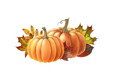 Sonbahar yapraklı balkabağı. Suluboya çizimi. El çizimi portakal rengi sonbahar balkabağı yan görünümü. Şükran Günü hasat dekorasyonu. Cadılar Bayramı geleneksel sebze yan bakışı. Beyaz arkaplanda
