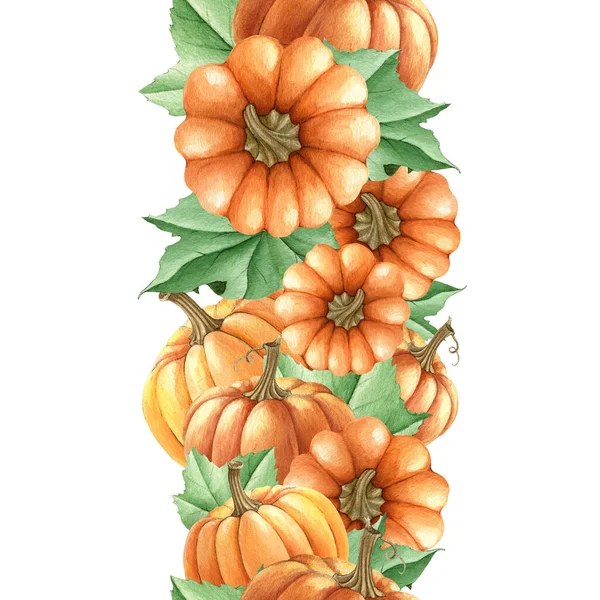 Balkabağı dikişsiz sınır. Suluboya çizimi. Portakallı sonbahar balkabaklarından ve yapraklardan elle çizilmiş kusursuz bir sınır. Parlak şükran günü hasat dekoru. Beyaz arkaplanda sonbahar dekorasyonu — Stok fotoğraf