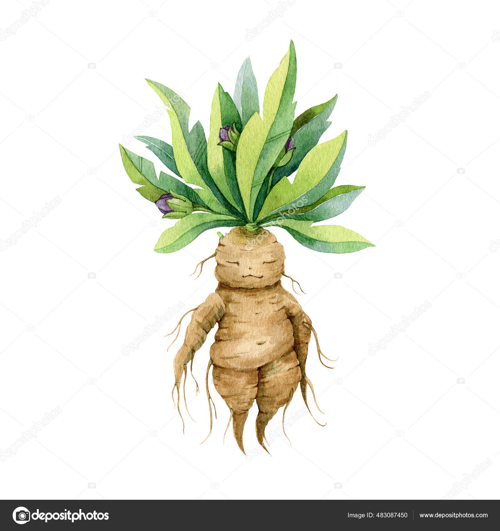 Ilustração de uma raiz mágica do mandrake da floresta dos desenhos animados  bonitos. monstro de conto de fadas azul com folhas, pedras preciosas e  ornamento folclórico em um fundo branco