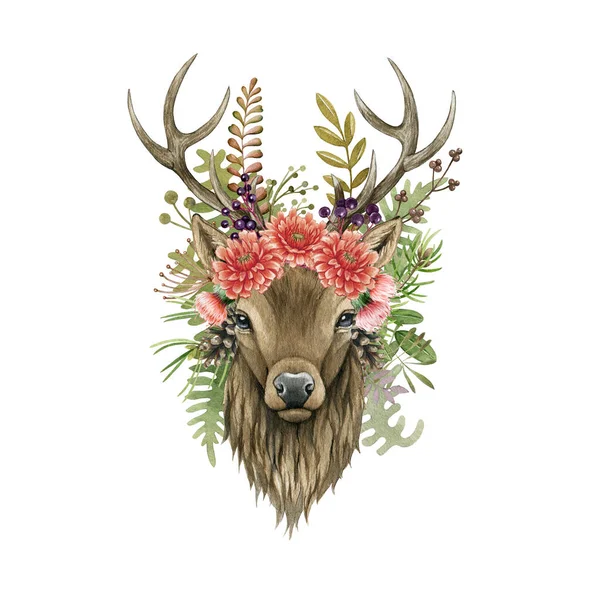 Hirsch Tierporträt mit Blumen. Aquarell-Illustration. Handgezeichnete Hirschfrontansicht. Wald schöne Hirschkopf florales Element. Männlicher Hirsch mit Hörnern. Tierporträt auf weißem Hintergrund — Stockfoto