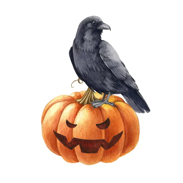Czarny kruk na dyni. Akwarela ilustracja halloween. Element dekoracyjny Halloween. Czarny kruk na przerażający widok na głowicę dyni. Straszny zabawny jesienny wystrój. Białe tło — Zdjęcie stockowe