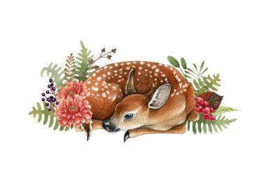 Çiçek desenli geyik yavrusu. Güzel geyik eli suluboya resim çizmiş. Uyuyan bambi çizimi. Yabani otların içinde beyaz benekli genç bir geyik, çiçekler. Beyaz arkaplan