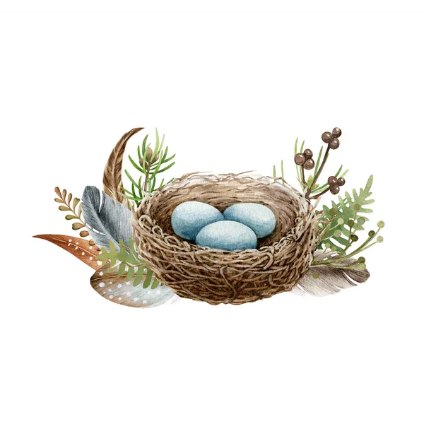 Bird ninho decoração erva floral. Ilustração aquarela. Elemento rústico da floresta. Ninho de pássaro desenhado à mão com decoração de ovos com penas, samambaia, folhas, galho de pinho. Elemento florestal sobre fundo branco — Fotografia de Stock