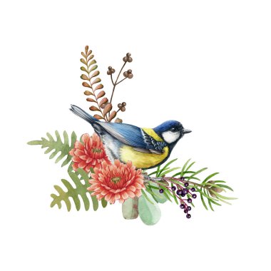 Big tit bird with flowers. Watercolor illustration. Rustic natural autumn element. Hand drawn forest fall decor. Tit bird, flowers, leaves, fern, berries floral decoration. On white background