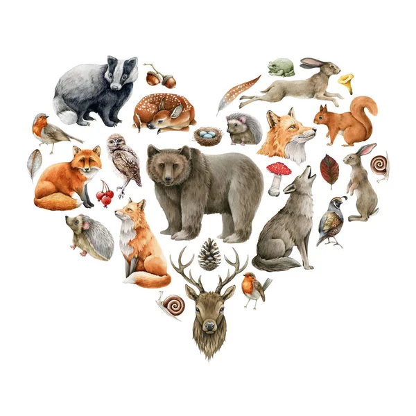 Animales del bosque y aves en forma de corazón. Colección de vida silvestre. Conjunto de animales forestales naturales dibujados a mano. Oso, zorro, lobo, conejo, ardilla, ciervo, petirrojo, búho. Corazón forma naturaleza conjunto — Foto de Stock