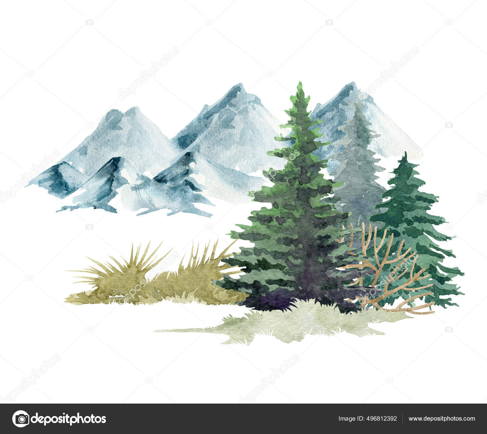 自然森林场景 水彩画 手绘高山 冷杉 松树和青草 野生北方景观元素 野生的自然景观 有冷杉树 山和草 白人背景 图库照片 C Anitapol 自然森林场景 水彩画 手绘高山 冷杉 松树和青草 野生北方景观元素 野生的自然景观 有冷杉树 山和草 白人背景 图库照片 C Anitapol
