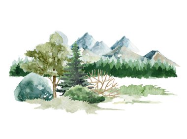 Orman manzarası doğa manzarası. Suluboya çizimi. El çizimi dağlar, ağaçlar, çalılar, çimenler. Vahşi doğa elementi. Köknar ağaçları, meşe, ıhlamur, akçaağaç, çimen. Beyaz arkaplan