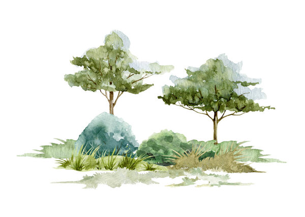 Сцена лесного пейзажа. Акварель. Деревья ручной работы, кусты и луга. Дикий ландшафт. Природа парка или леса с деревьями, кустами и травой. Белый фон