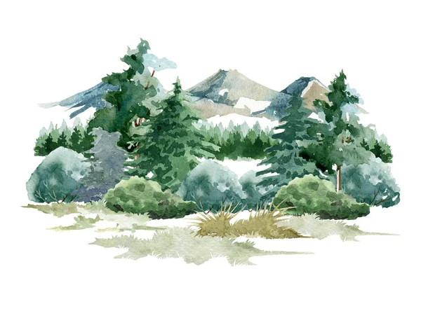 Natuur bos scene. Aquarelillustratie. Handgetekende bergen, bomen, struiken, glade met gras. Wild landschap element. Noord-natuur met dennenbomen, eik, linde, esdoorn en gras. Witte achtergrond — Stockfoto