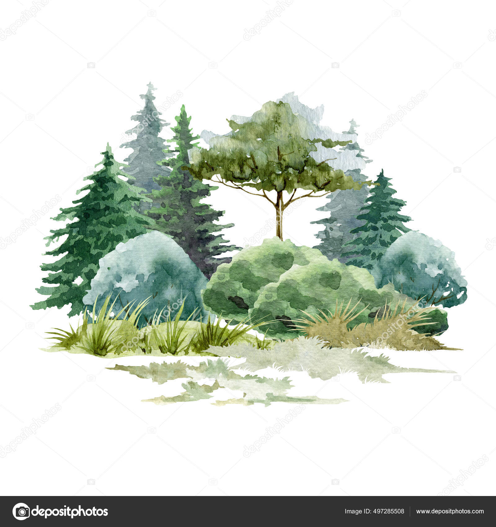 森林景観の背景シーン 水彩イラスト 手の山 木 ブッシュ 草を描いた 野生の風景要素 モミの木 松 オークと草で北の自然 白地 ストック写真 C Anitapol