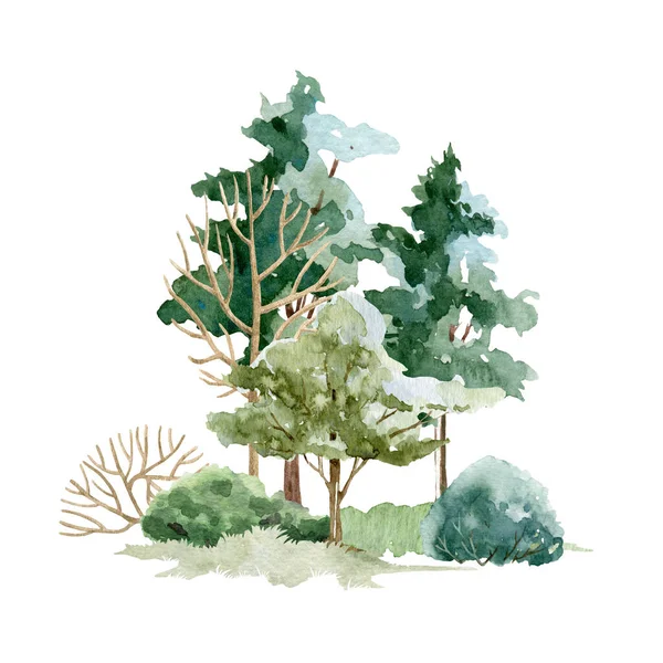 Waldlandschaft. Aquarell-Illustration. Handgezeichnete Bäume, Büsche und Wiesengras. Wilde Landschaft. Park oder Waldnatur mit Bäumen, Büschen und Gras. Weißer Hintergrund — Stockfoto