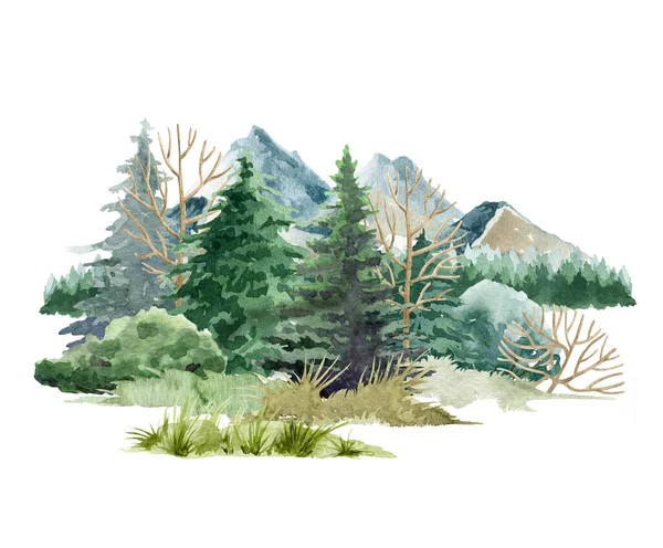 Naturalna scena leśna. Ilustracja akwareli. Ręcznie rysowane góry, drzewa, krzaki, polana z trawą. Dziki element krajobrazu. Północna przyroda z górami, jodłami i trawą. Białe tło — Zdjęcie stockowe