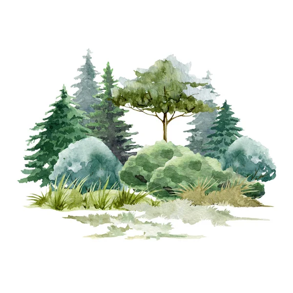 Waldlandschaft Hintergrundszene. Aquarell-Illustration. Handgezeichnete Berge, Bäume, Büsche, Gras. Wilde Landschaft. Nordnatur mit Tannen, Kiefern, Eichen und Gras. Weißer Hintergrund — Stockfoto