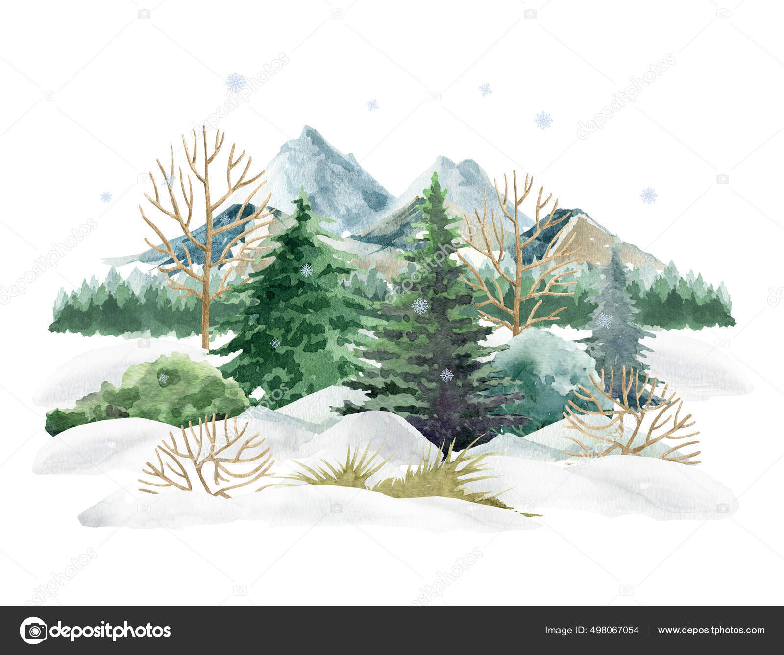 Hiver forêt paysage nature scène. Illustration aquarelle. Neige dessinée à  la main, montagnes, arbres, buisson. Élément de paysage sauvage hivernal.  Nature du nord avec sapins, neige, collines. Fond blanc — Illustration de, image size:1600x1337
