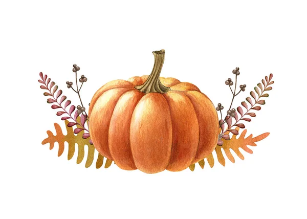 Pumpkin autumn flower arrangement. Watercolor illustration. Hand drawn rustic festive decor single pumpkin, flowers, berries, autumn leaves. Thanksgiving harvest floral element. On white background — Stock Photo, Image