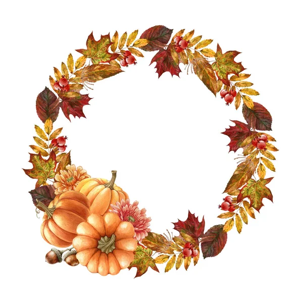 Floral thanksgiving autumn pumpkin wreath. Watercolor illustration. Thanksgiving harvest element. Hand drawn rustic festive round decor with pumpkins, leaf, berries. Harvest wreath on white background — Stock Photo, Image