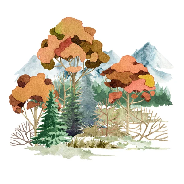 Erdei táj őszi jelenet. Akvarell illusztráció. Kézzel rajzolt őszi fák, bokor és rét. Vad táj őszi szezon elem. Park vagy erdő természet fák, bokrok, fű. Fehér háttér — Stock Fotó