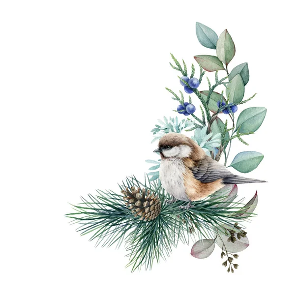 Arranjo rústico floral de inverno com pássaro. Ilustração aquarela. Decoração natural desenhada à mão com pássaro titmouse, pinheiro, cone, folhas de eucalipto. Decoração de Natal sazonal no fundo branco — Fotografia de Stock