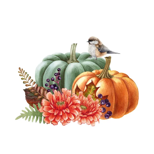 Dekorasi labu Thanksgiving musim gugur. Ilustrasi warna air. Tangan digambar pedesaan Thanksgiving meriah dekorasi. Burung titmouse di labu, daun musim gugur. Elemen panen. Latar belakang putih — Stok Foto