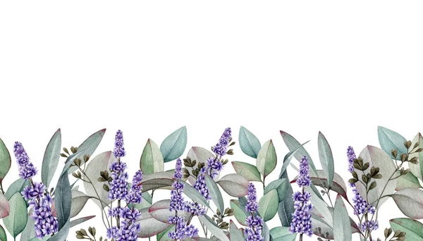 Eucalyptus lavendel naadloze rand. Aquarelillustratie. Natuurlijke kruiden in elegant ornament. Met de hand getekende lavendel en eucalyptus medische organische plant. Elegante naadloze grens. Witte achtergrond — Stockfoto